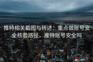 推特相关截图与转述：重点做账号安全核验路径，推特账号安全吗