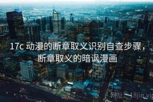 17c 动漫的断章取义识别自查步骤，断章取义的暗讽漫画