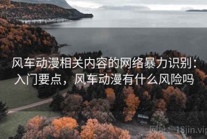 风车动漫相关内容的网络暴力识别：入门要点，风车动漫有什么风险吗