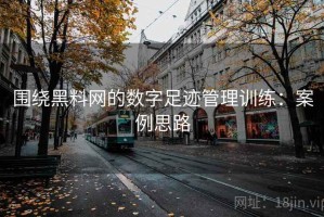 围绕黑料网的数字足迹管理训练：案例思路