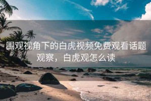 围观视角下的白虎视频免费观看话题观察，白虎观怎么读