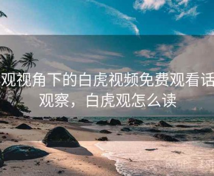 围观视角下的白虎视频免费观看话题观察，白虎观怎么读