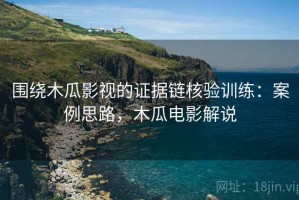 围绕木瓜影视的证据链核验训练：案例思路，木瓜电影解说