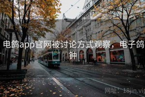 电鸽app官网被讨论方式观察，电子鸽钟