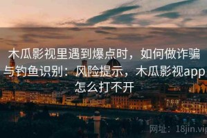 木瓜影视里遇到爆点时，如何做诈骗与钓鱼识别：风险提示，木瓜影视app怎么打不开