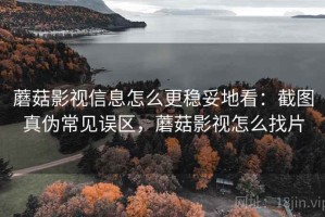 蘑菇影视信息怎么更稳妥地看：截图真伪常见误区，蘑菇影视怎么找片