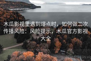 木瓜影视里遇到爆点时，如何做二次传播风险：风险提示，木瓜官方影视大全
