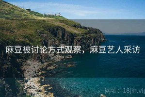 麻豆被讨论方式观察，麻豆艺人采访
