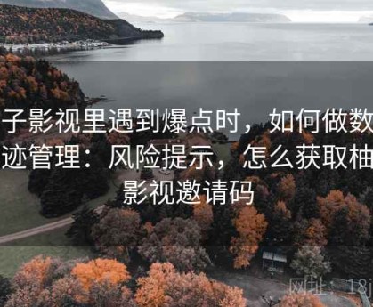 柚子影视里遇到爆点时，如何做数字足迹管理：风险提示，怎么获取柚子影视邀请码