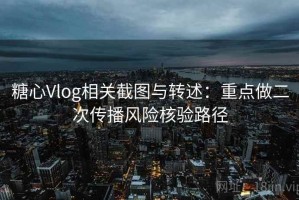糖心Vlog相关截图与转述：重点做二次传播风险核验路径
