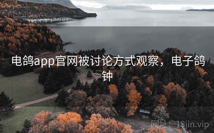电鸽app官网被讨论方式观察，电子鸽钟