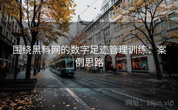 围绕黑料网的数字足迹管理训练：案例思路