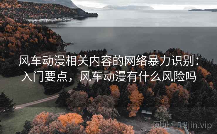风车动漫相关内容的网络暴力识别：入门要点，风车动漫有什么风险吗